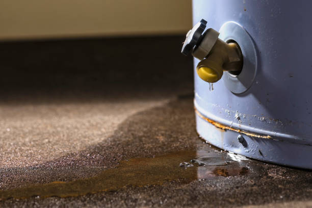 Best Basement water damage restoration  in Lla Lla East, WA