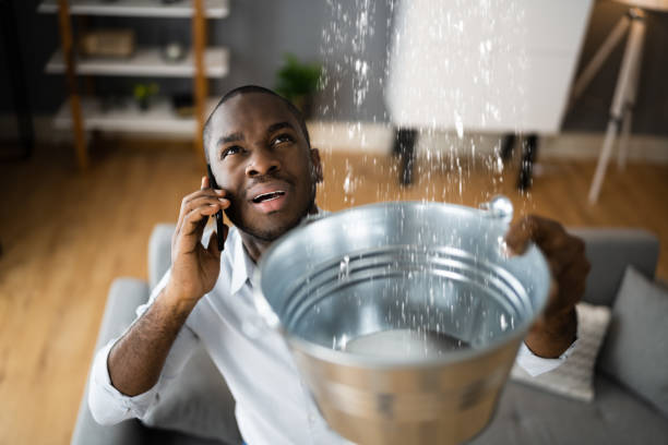Best Flood restoration services  in Lla Lla East, WA
