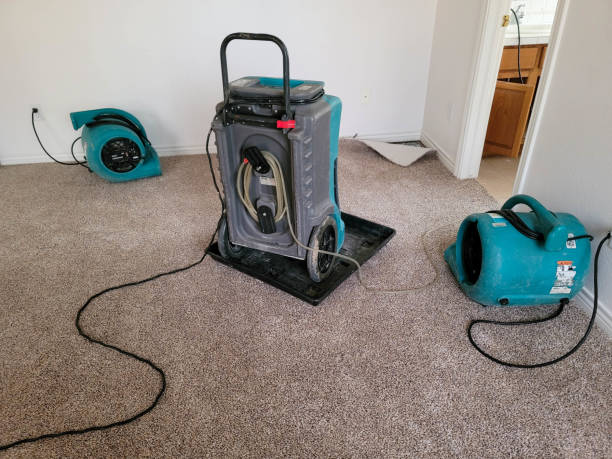 Best Flooded house restoration  in Lla Lla East, WA