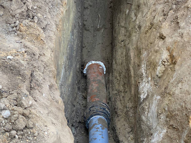 Best 24/7 water damage repair  in Lla Lla East, WA