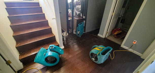 Best 24-hour water damage restoration  in Lla Lla East, WA