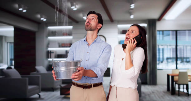 Best Water damage restoration near me  in Lla Lla East, WA